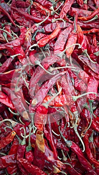 Red Stewed Chili image of india